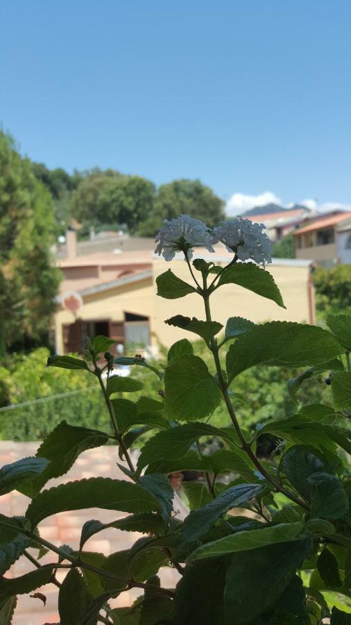 Il Girasole Panzió Domus De Maria Kültér fotó